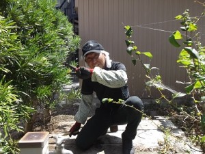 おっ！なんだチミは？