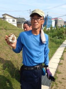 中には蜂の子がいっぱい。